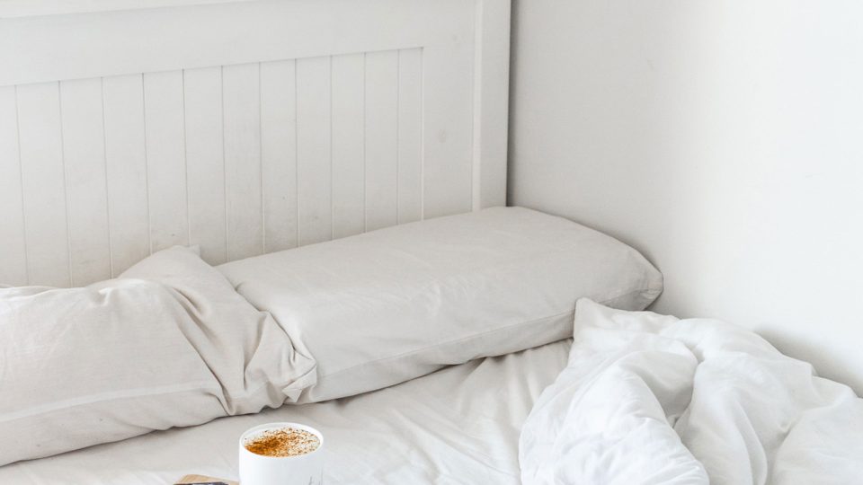 Nulla consequat massa quis